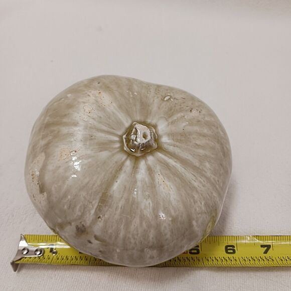 Realistic Ceramic GOURD ugly Pumpkin Art Glaze Kitsch Decor Thanksgiving Kitchen - Picture 14 of 14